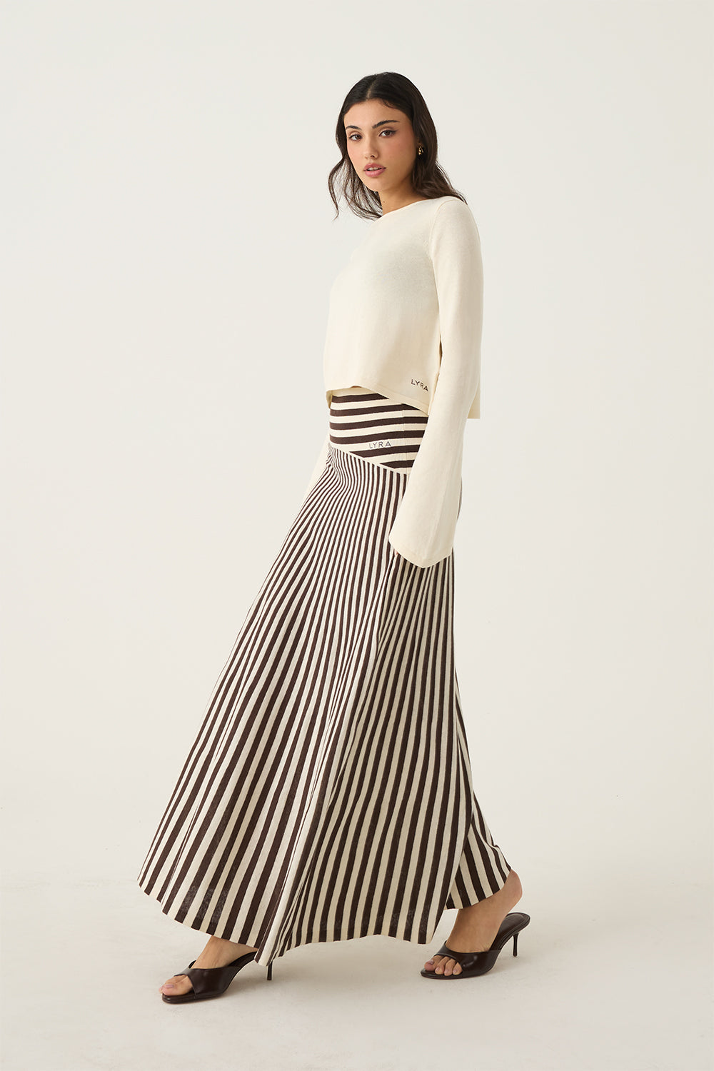 #color_brown stripe